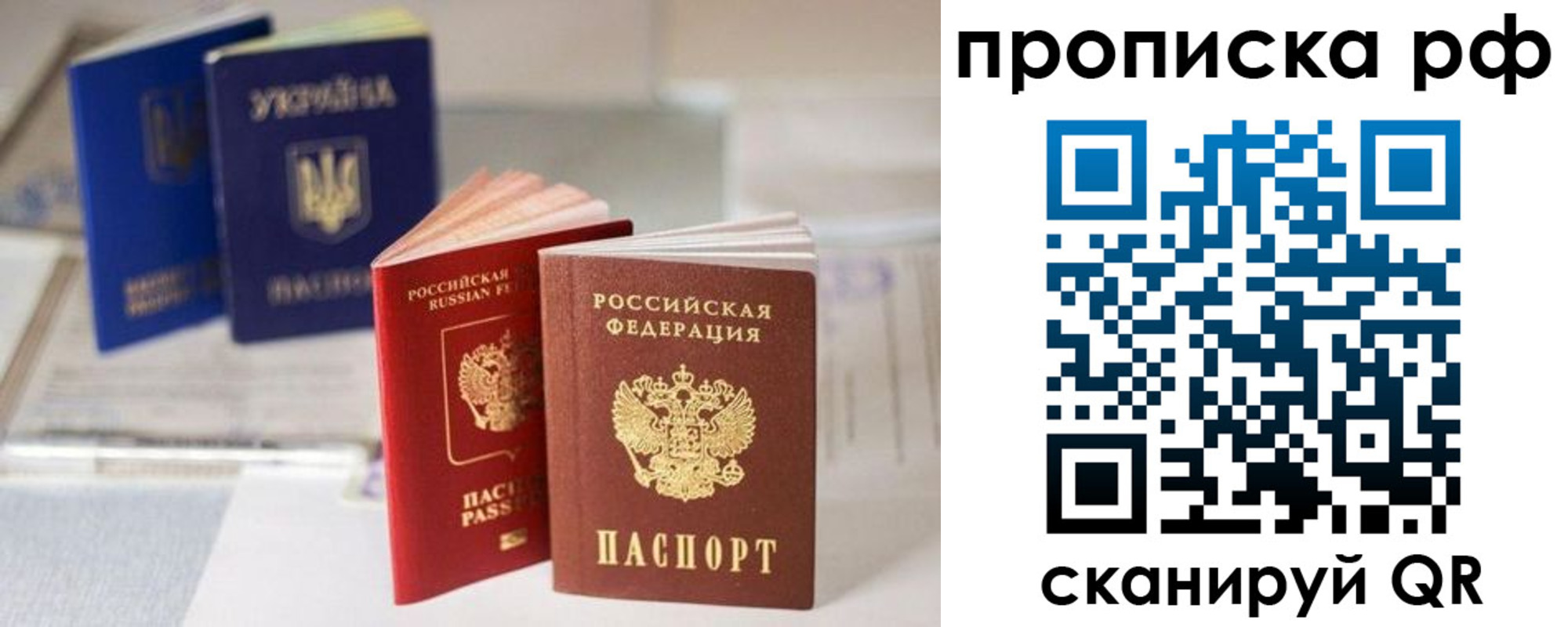 прописка от собственника в Вязьме